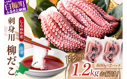 しらぬか産刺身用柳だこ【600g×2個入り】