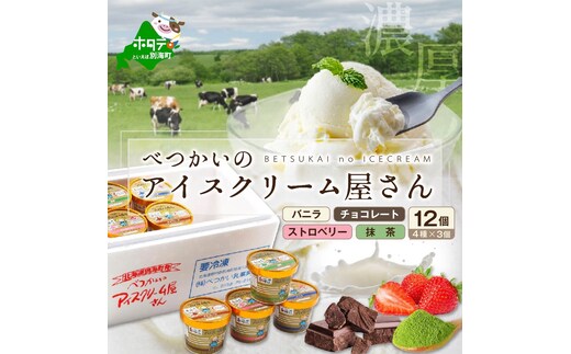 アイスクリーム12個(120ml×12）（A-07）（ 北海道アイス 北海道産アイス アイス アイススイーツ アイスクリーム 北海道産アイスクリーム 道産アイス 道産アイスクリーム ギフト 詰合せ 詰め合わせ ふるさと納税 ）