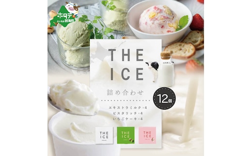 厳選別海町産生乳使用【THE ICE】詰め合わせ 12個セット（ 北海道アイス 北海道産アイス アイス アイススイーツ アイスクリーム 北海道産アイスクリーム 道産アイス 道産アイスクリーム ピスタチオ いちご イチゴ ギフト ふるさと納税）