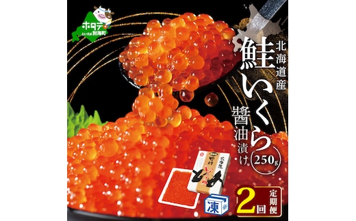 計500g【250g×1パック 2回 お届け】 2ヵ月 定期便 漁協 直送！本場「北海道」 いくら 醤油漬け【NKM02NQ13】（野付漁業協同組合）( いくら いくら醤油漬け いくら醤油漬 醤油いくら 鮭いくら 国産いくら 北海道産いくら 地場産いくら 道産いくら 別海町 ふるさと納税 ふるさと ikura )