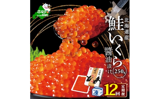 計3kg【250g×1パック 12回 お届け】 12ヵ月 定期便 漁協 直送！本場「北海道」 いくら 醤油漬け【NKM12NQ08】( いくら いくら醤油漬け いくら醤油漬 醤油いくら 鮭いくら 国産いくら 北海道産いくら 地場産いくら 道産いくら 別海町 ふるさと納税 ふるさと ikura )