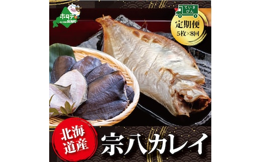 【定期便】北海道産 一夜干し 宗八カレイ 5枚 × 8ヵ月 【全8回】