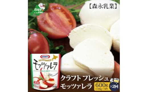 【定期便】森永乳業 モッツァレラチーズ 600g(100g×6P) × 2ヵ月【全2回】
