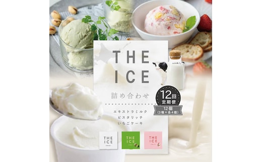 【毎月定期便】【THE ICE】3種詰合せ12個セット×12ヵ月定期便 【be003-1073-100-12】（J FARM AMUSE 株式会社）