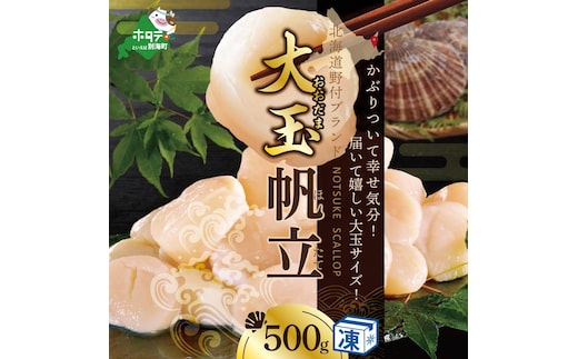 北海道 野付産 冷凍ホタテ 貝柱 大玉（Sサイズ）ホタテ500ｇ（ほたて ホタテ 帆立 ふるさと納税 お届け）