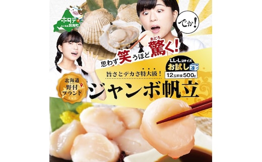 思わず笑うほど驚くお試しジャンボホタテ500g（ほたて ホタテ 帆立 貝柱 ホタテ貝柱 大玉 大粒 北海道 別海 野付 ふるさと納税）