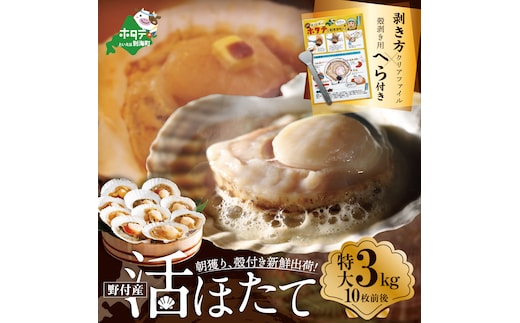 【緊急支援品】 朝どり 新鮮出荷 活ホタテ 特大 3kg前後(10枚前後) 北海道 野付産 食べ応え抜群【UY0000013】（ほたて ホタテ 帆立 貝柱 ホタテ貝柱 大玉 大粒 北海道 別海 野付 ふるさと納税）