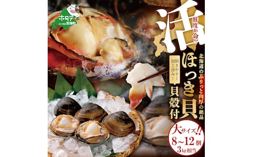 鮮度抜群！「貝殻付 活ホッキ 大サイズ 8～12個 3kg相当 」（上林商店）【KN0000014】
