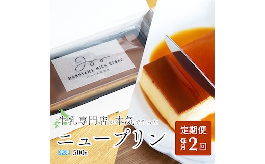 【定期便】濃厚プリン New Pudding（ニュープディング）（500g×1本）×2ヶ月【be152-0931-100-2】