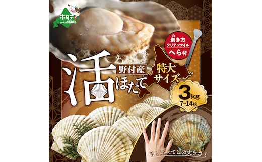 【先行予約】特大活ほたて ３kg相当 7～14枚入り＜朝どり新鮮出荷!＞