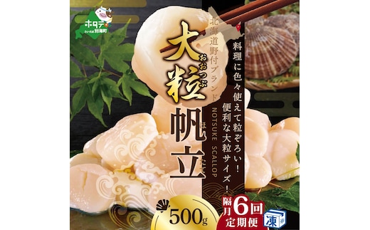 【隔月6回定期便】北海道 野付産 漁協直送 冷凍ホタテ 貝柱大粒（2Sサイズ）ホタテ500ｇ【NKB06ND01】