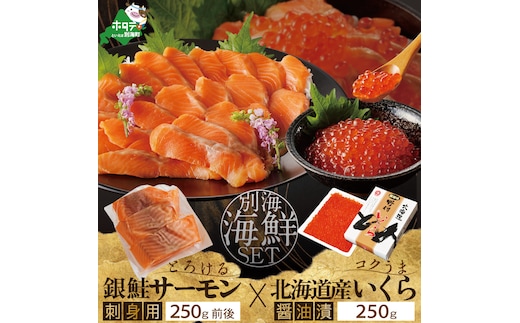 サーモン ・ いくら 海鮮セット 刺身用サーモン 250g + 北海道産醤油いくら250g