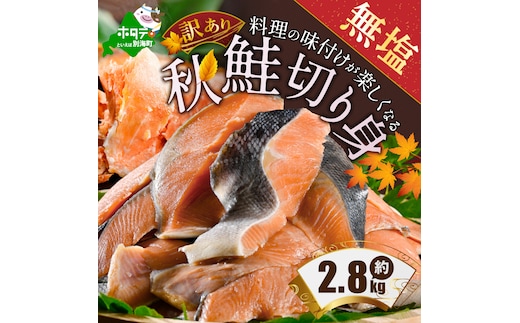 ★MG【訳あり】「秋鮭の切り身（無塩）」2.8kg【MS000MG01】（ 鮭 秋鮭 シャケ 秋シャケ 北海道産鮭 北海道産秋鮭 道産鮭 道産秋鮭 鮭切り身 鮭切身 さけ さけ切り身 さけ切身 国産鮭 国産秋鮭 地場産鮭 地場産秋鮭 ふるさと納税 訳あり 訳あり鮭 訳ありシャケ 訳あり秋鮭 訳あり切り身 訳あり 切身）