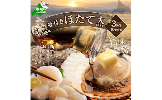 【先行予約】北海道野付産活ホタテ 3kg（10枚前後）
