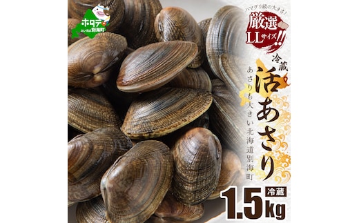北海道 道東産 活アサリ中 1.5kg【SS0000019】