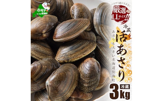 北海道 道東産 活アサリ中 3kg【SS0000020】