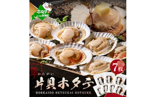 北海道 別海町 野付産 片貝 ホタテ 7枚【KO0000005】