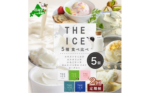 【毎月2回定期便】【THE ICE】5種食べ比べ 5個セット【CJM020206】
