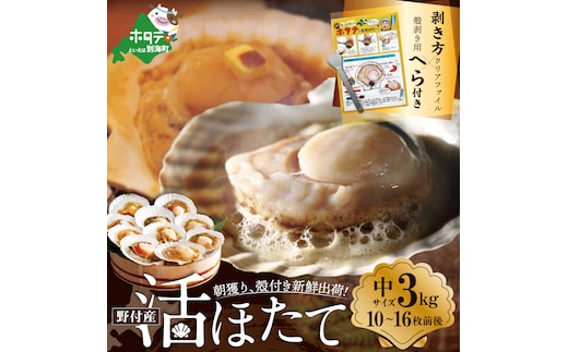 朝どり 新鮮出荷 活ホタテ 中サイズ 3kg活ほたて【UY0000015】
