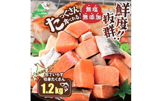 北海道産 カット秋鮭 約 1.2kg （600g×2） 天然 無塩 訳あり サイズ不揃い【KT0000020】