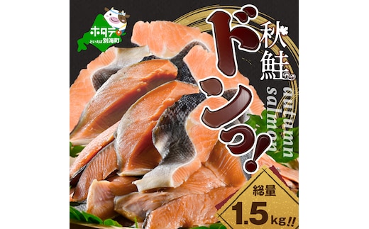 【訳あり】秋鮭ドンっ！無塩 秋鮭 切り身 1.5kg 【KN000PB06】