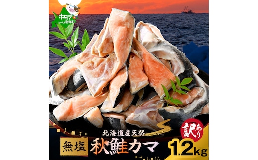 北海道産 秋鮭 カマ 1.2kg 無塩