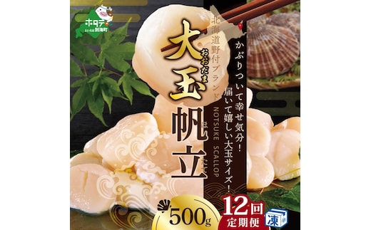 【毎月12ヶ月定期便】北海道 野付産 冷凍ホタテ 貝柱 大玉（Sサイズ）ホタテ500ｇ（ほたて ホタテ 帆立 ふるさと納税 お届け）