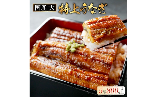 国産 大 特上うなぎ(160g×5尾)