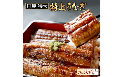 国産 特大 特上うなぎ(190g×5尾)