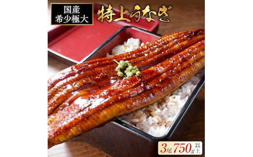 国産 希少 極大 特上うなぎ(250g×3尾)