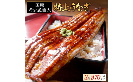 国産 希少 超極大 特上うなぎ(290g×3尾)