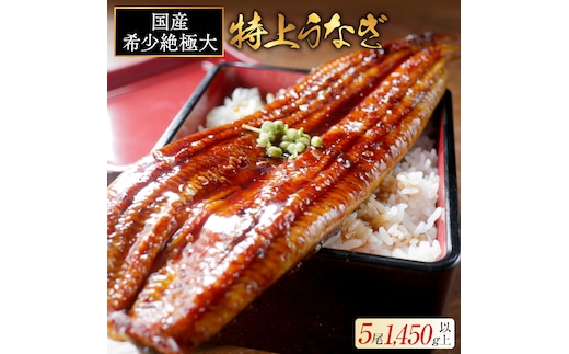 国産 希少 超極大 特上うなぎ(290g×5尾)