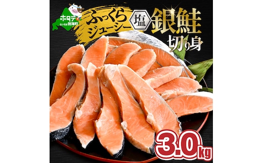 塩銀鮭切身 3.0kg (1.5kg×2箱)【MT0002TZ0】