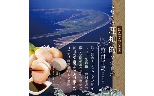 毎月4ヶ月定期便】北海道 野付産 漁協直送 冷凍ホタテ 貝柱大粒ホタテ