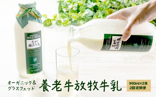 【定期便：全2回】オーガニック＆グラスフェッド養老牛放牧牛乳900ml×2本【1300202】
