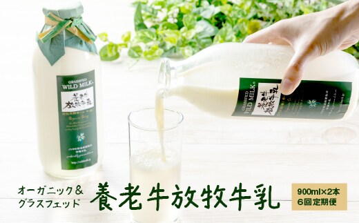 【定期便：全6回】オーガニック＆グラスフェッド養老牛放牧牛乳900ml×2本【1300602】