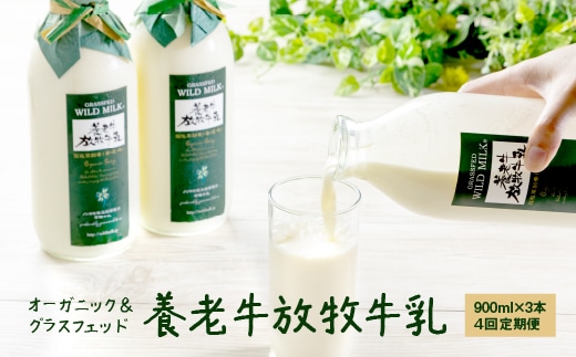 【定期便：全4回】オーガニック＆グラスフェッド養老牛放牧牛乳900ml×3本【1300902】