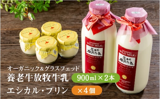 オーガニック＆グラスフェッド養老牛放牧牛乳900ml×2本とエシカル・プリン×4個セット【1301201】