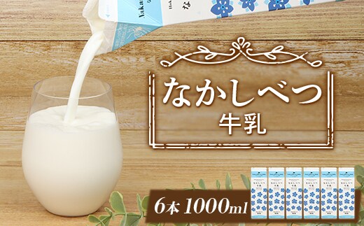 北海道なかしべつ牛乳 1L×６本【1402603】