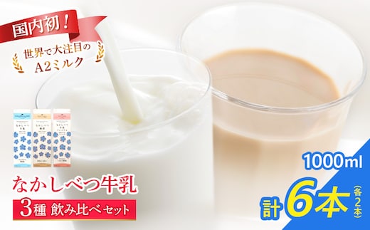 なかしべつ牛乳・珈琲・プレミアム 3種飲み比べ6本セット【14062】