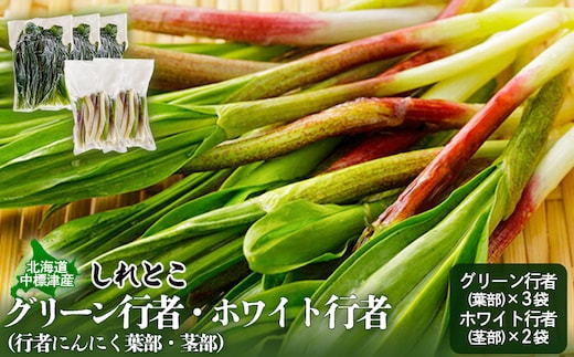 行者にんにく グリーン行者 葉部 3袋 ホワイト行者 茎部 2袋 計5袋 オンライン 申請 ふるさと納税 北海道 中標津 行者ニンニク 幻の山菜 山菜 山の幸 野菜 疲労回復 健康効果 長寿 体力増強 ダイエット 焼肉 炒め物 おかず 冷凍 中標津町【20010】