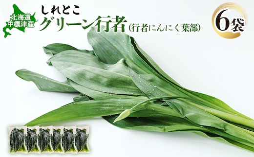行者にんにく グリーン行者 葉部 6袋 オンライン 申請 ふるさと納税 北海道 中標津 行者ニンニク 幻の山菜 山菜 山の幸 野菜 疲労回復 健康効果 長寿 体力増強 ダイエット効果 焼肉 卵とじ トッピング おひたし おかず 冷凍 中標津町【20011】