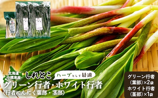 【ハーブとして最適】行者にんにく3袋（葉部・茎部）グリーン行者×2袋 ホワイト行者×1袋【2001901】