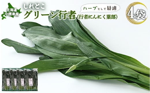 【ハーブとして最適】行者にんにくグリーン行者×4袋 （葉部）【20020】