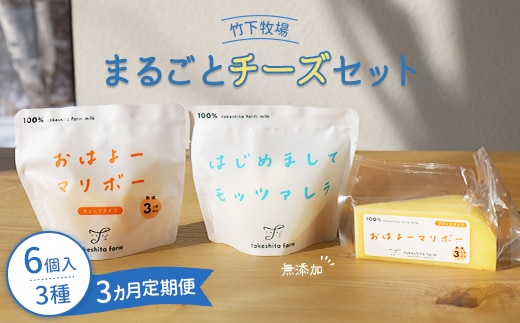 竹下牧場 takeshita farm【定期便３ヶ月】まるごとチーズセット 計560g【2400201】
