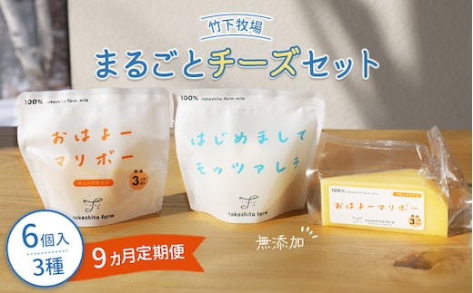 竹下牧場 takeshita farm【定期便9ヶ月】まるごとチーズセット 計560g【24024】