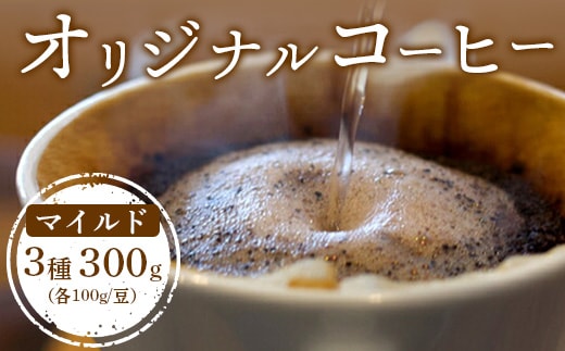 ONUKI COFFEEマイルド100g（豆）×3種（DAILY・パプアニューギニア・グアテマラ）【2700202】