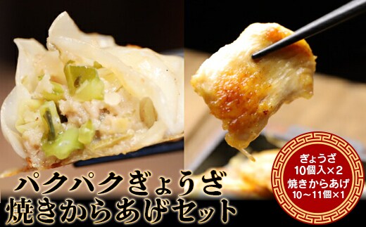 パクパクぎょうざ240gと焼きからあげ300gのセット 計540g【3600102】