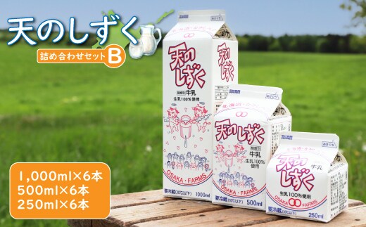 天のしずく 詰め合わせセットＢ(1000ml×6本・500ml×6本・250ml×6本,合計10.5L) 【5100201】