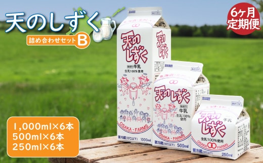 【定期便：全6回】天のしずく 詰め合わせセットＢ(1000ml×6本・500ml×6本・250ml×6本,合計10.5L)【51004】
